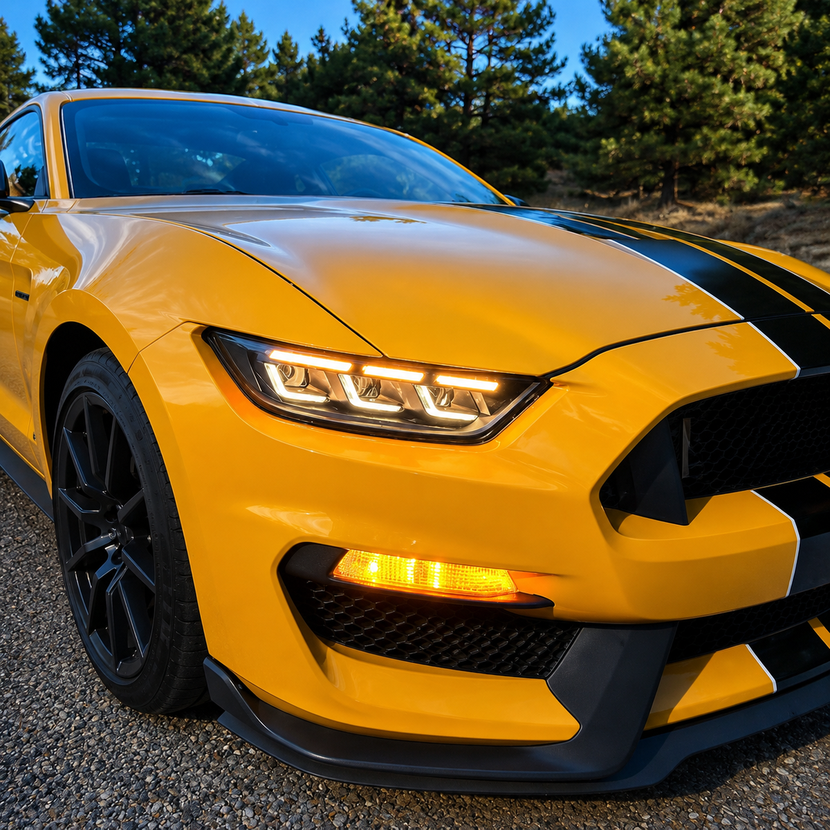 Dry Carbon Fiber Front Bumper Canards for Ford Mustang